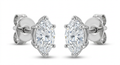 The Solvere Marquise Four-Prong Earrings - Color F